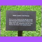 Marquie - Mt. Locust Home.jpg